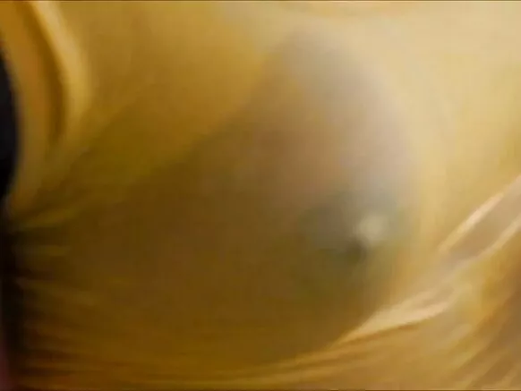 জামাকাপড়ের সাথে হুডযুক্ত আবলুস টোয়ার্ক, ভেজা বিবিডব্লিউ থ্রিসম।